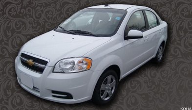 Автомобиль на свадьбу № S4798 - Транспортная компания Shevchenko auto